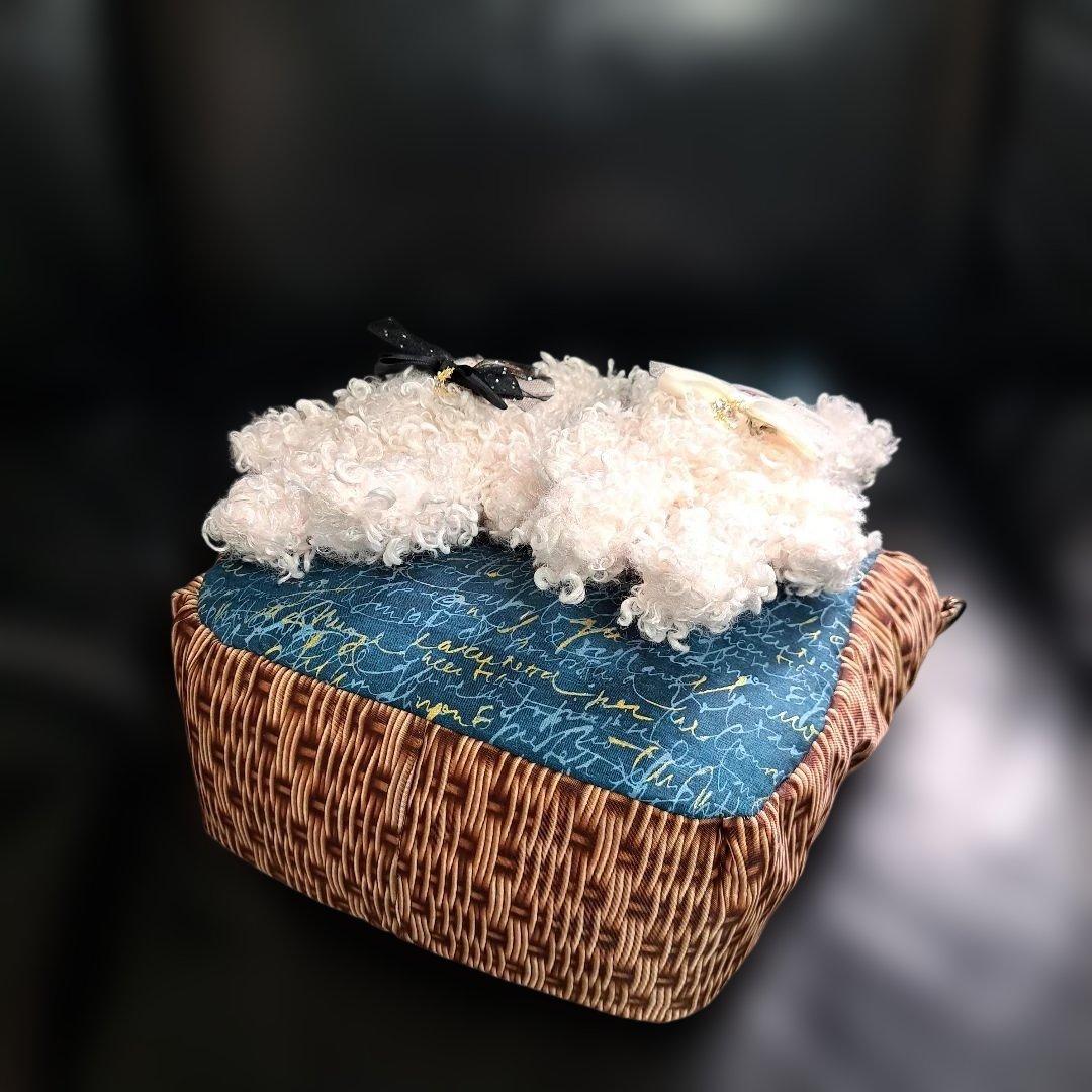 コヤンイサムチョン♥️ゆきそらになりました