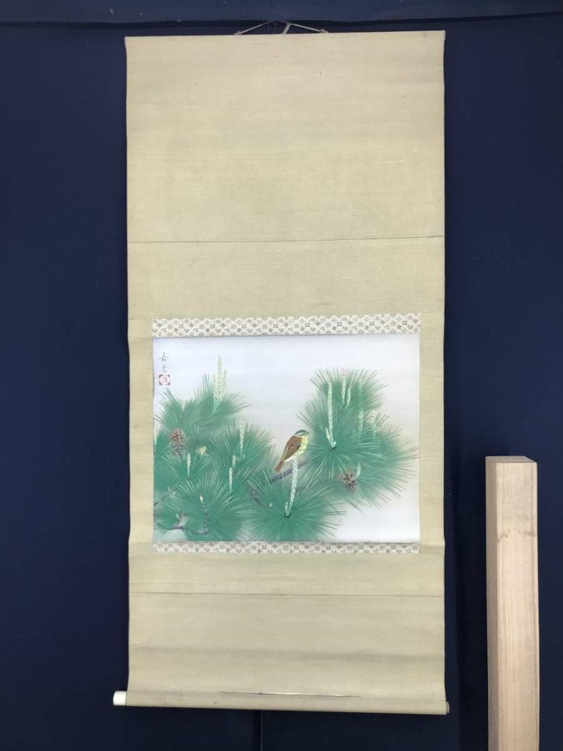 【真作】嘉光/若松に小禽図/松に鳥図/横物/掛軸/名家伝来/AB-910