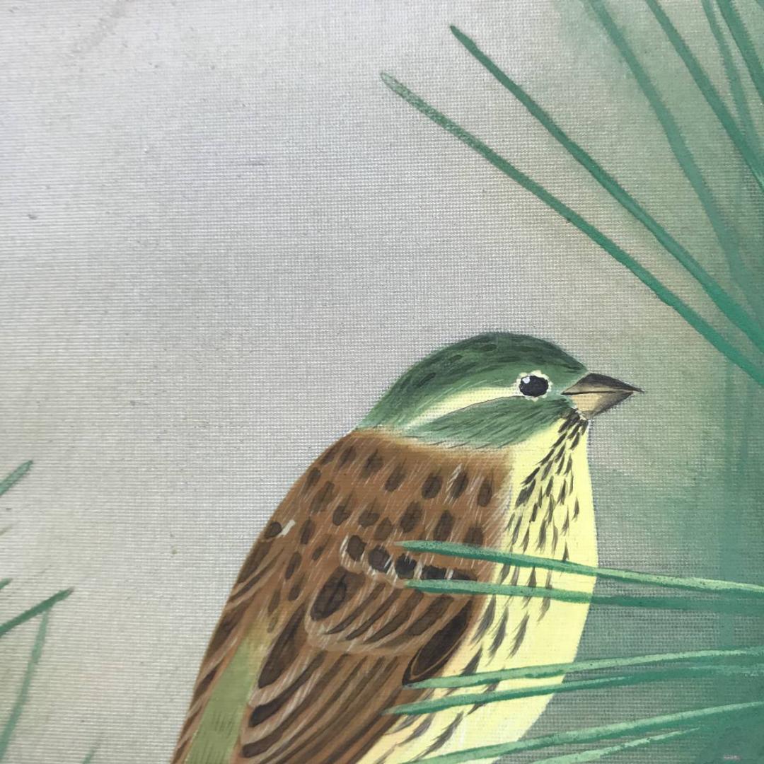 【真作】嘉光/若松に小禽図/松に鳥図/横物/掛軸/名家伝来/AB-910