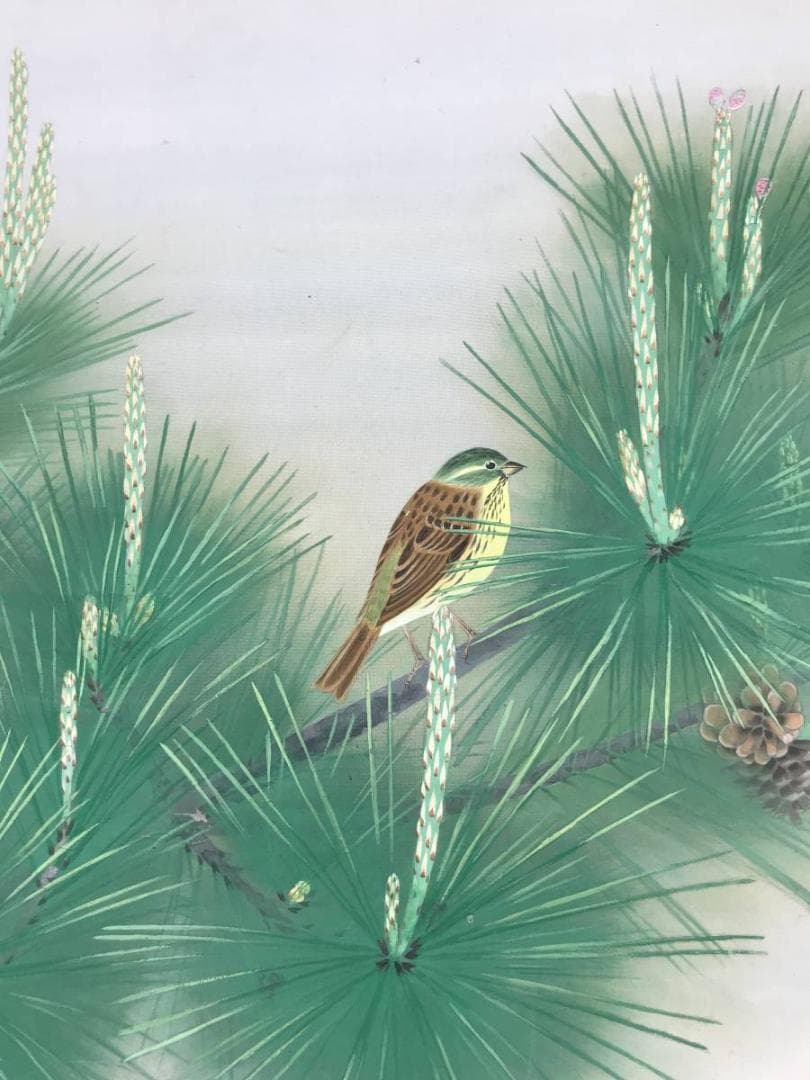 【真作】嘉光/若松に小禽図/松に鳥図/横物/掛軸/名家伝来/AB-910