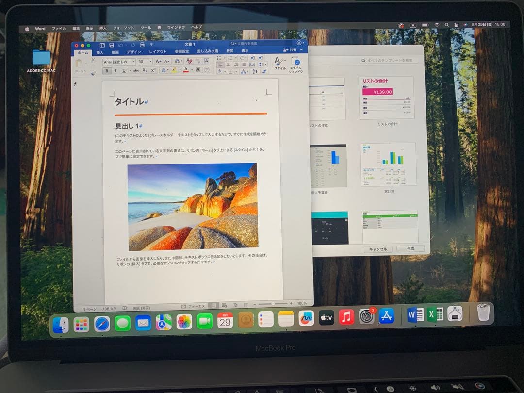 MacBook Pro 15インチ/Core i9 24GB
