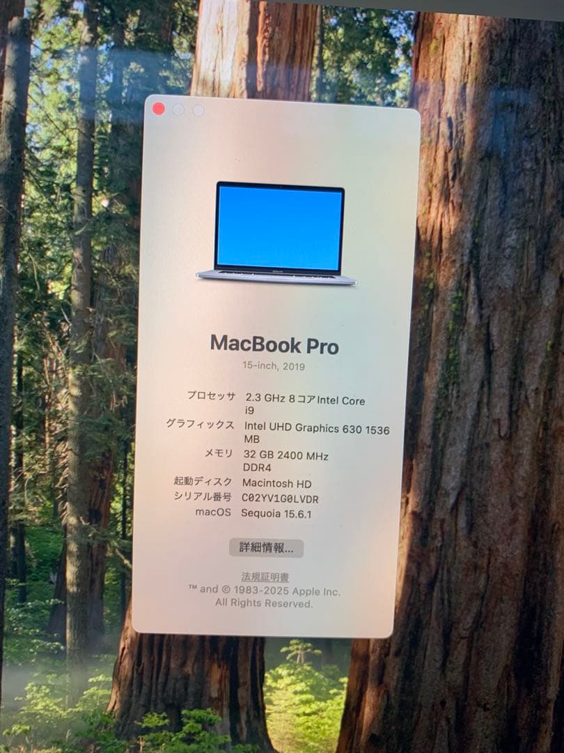 MacBook Pro 15インチ/Core i9 24GB
