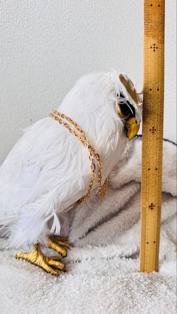 第五人格 ホワイト 占い師 コスプレ フクロウ 小道具