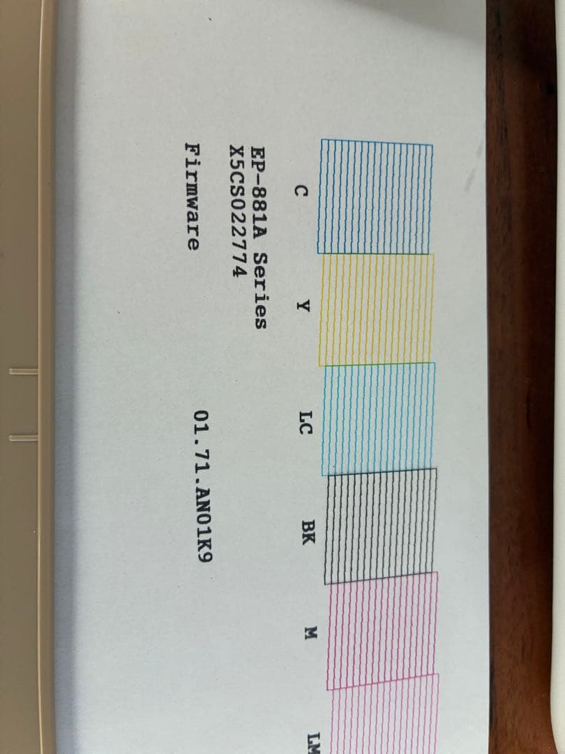 EP-880AN　ノズルチェック　カラー印刷問題無し！ジャンク