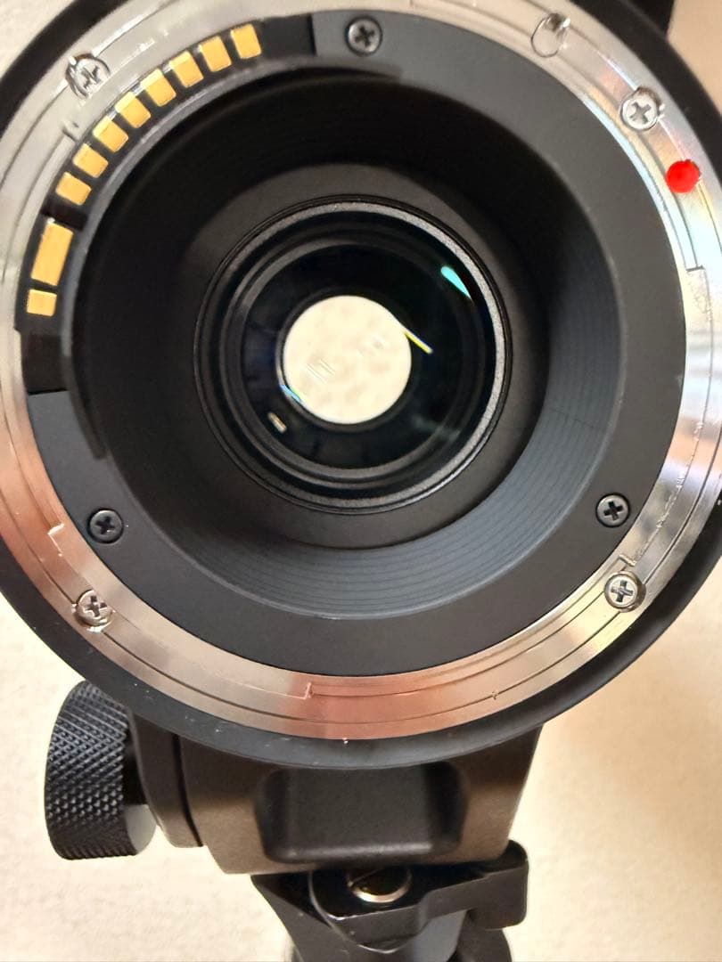 【美品、完動品】EF SIGMA 150-600mm F5-6.3 DG 【C】