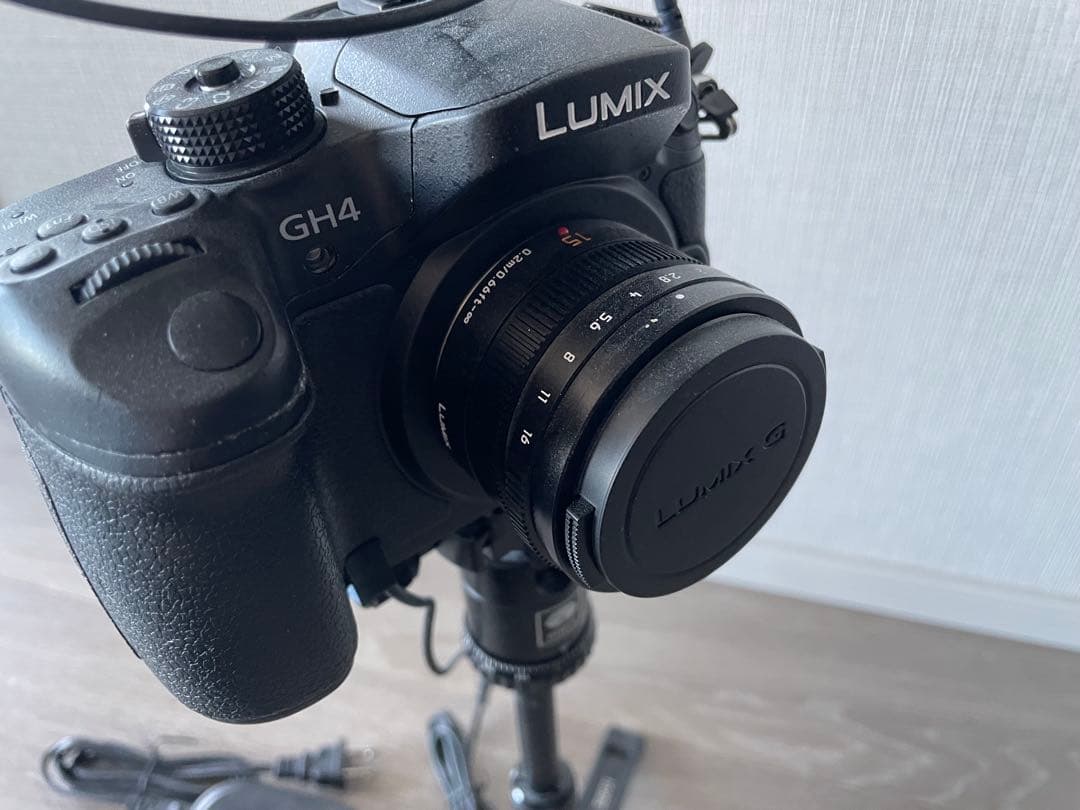 LUMIXカメラ + RØDEマイク 撮影セット