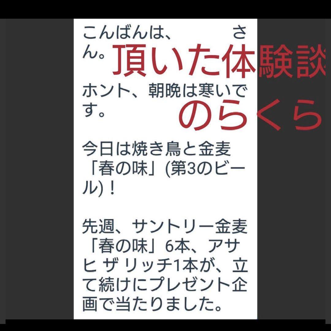 ①ミニオルゴナイト+鑑定セット
