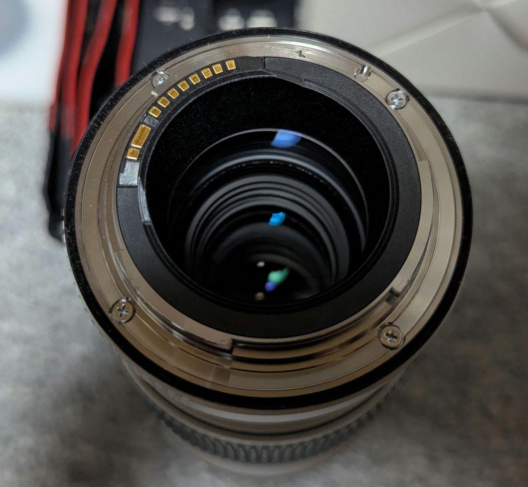 Canon EF 70-200mm f4 L IS Ⅱ USM