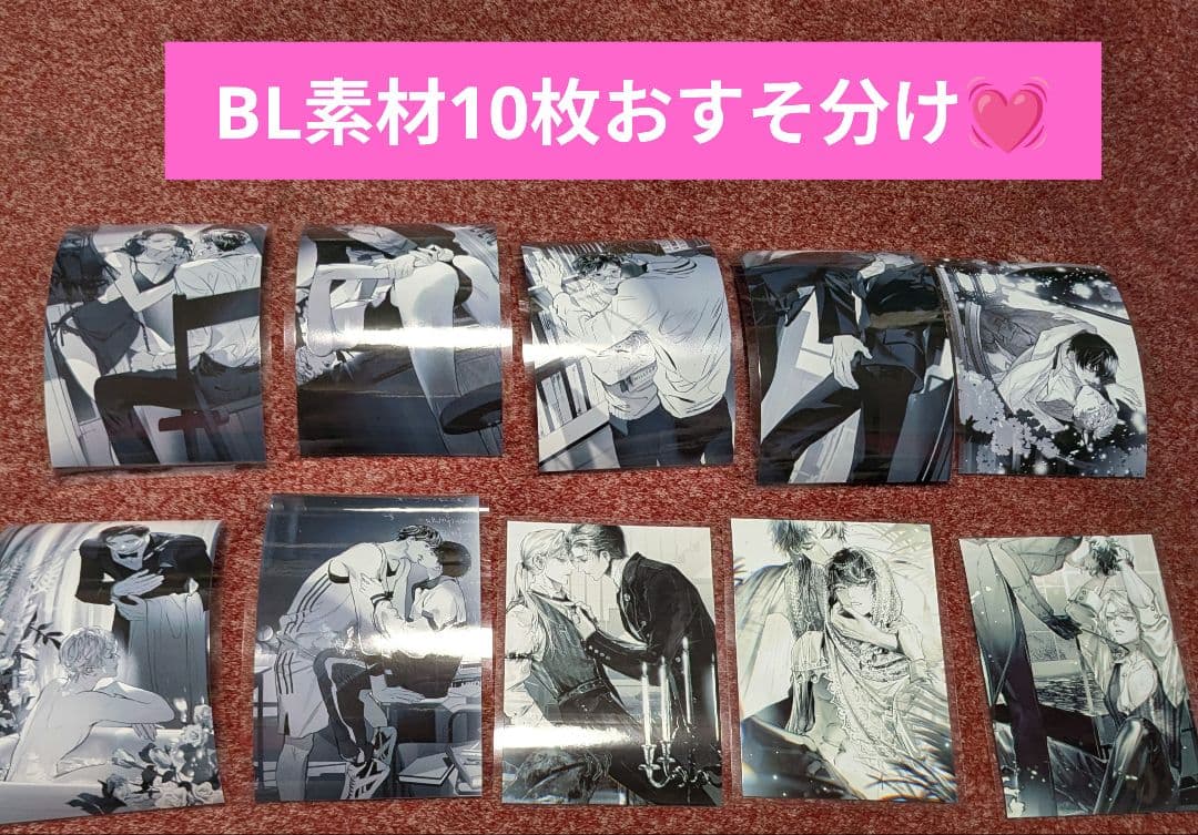 ジャンクジャーナル♡ フォトフレーム(BL柄) BL海外マステ(レア)10枚付き