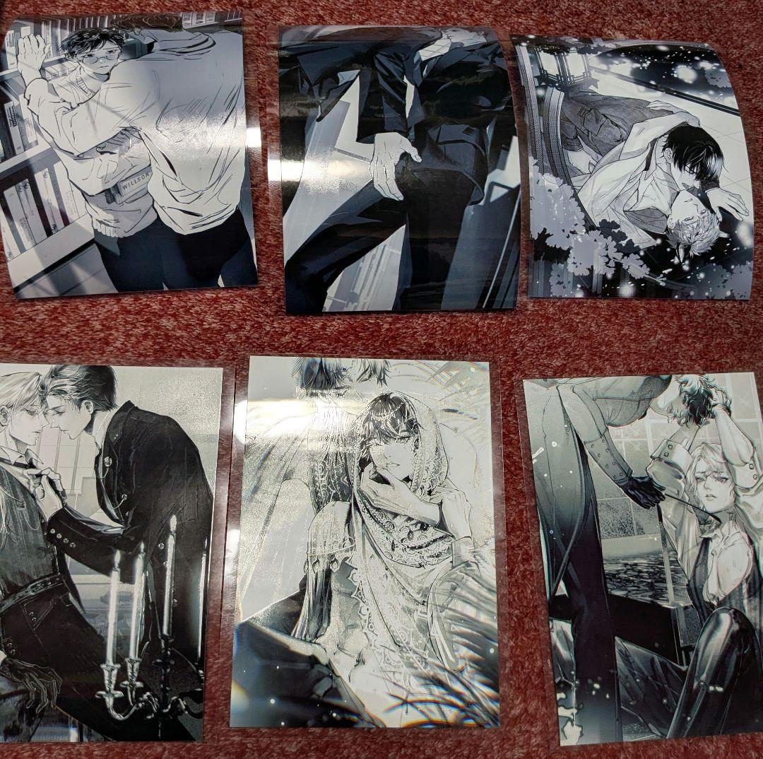 ジャンクジャーナル♡ フォトフレーム(BL柄) BL海外マステ(レア)10枚付き