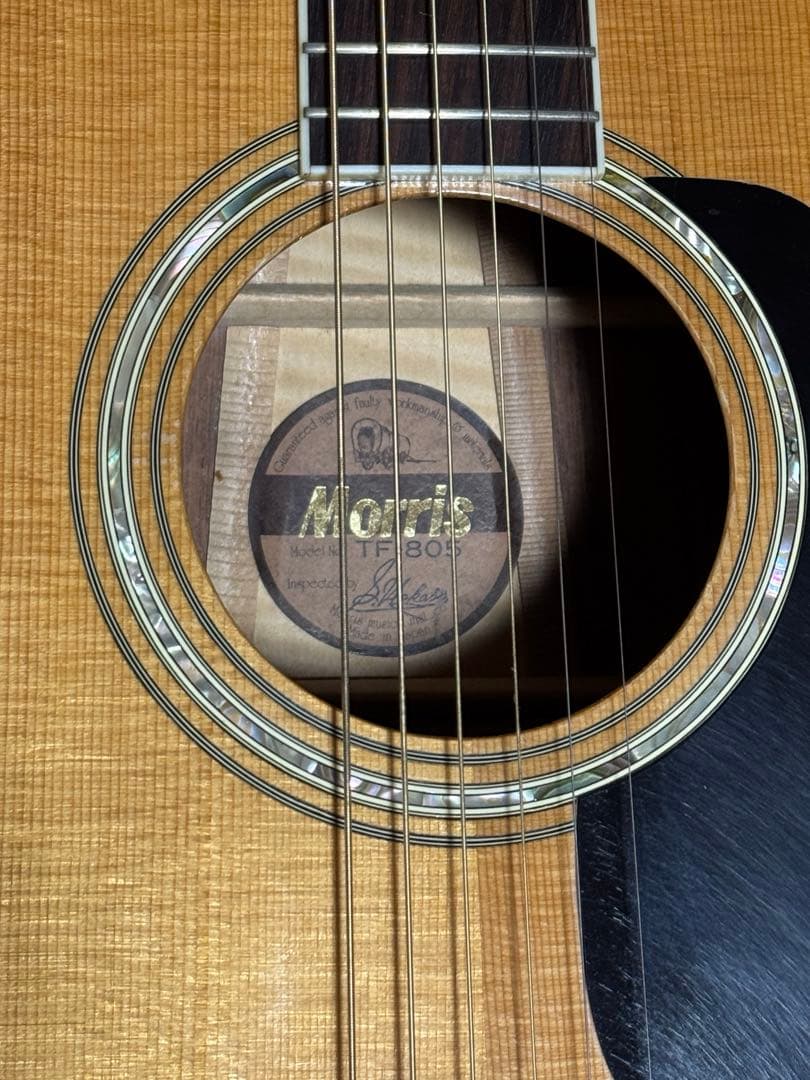 morris tf-805 ハカランダ ジャパンビンテージ 美品