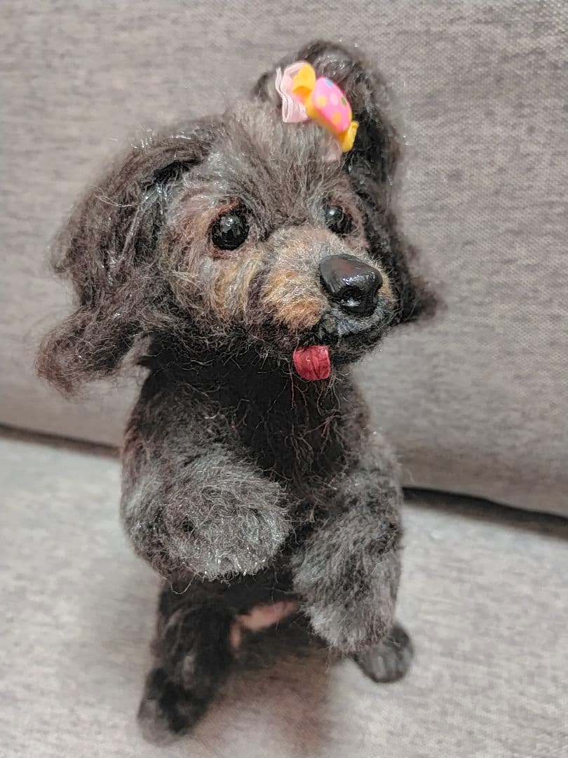 s2exy.s2。オーダー。羊毛フェルト。