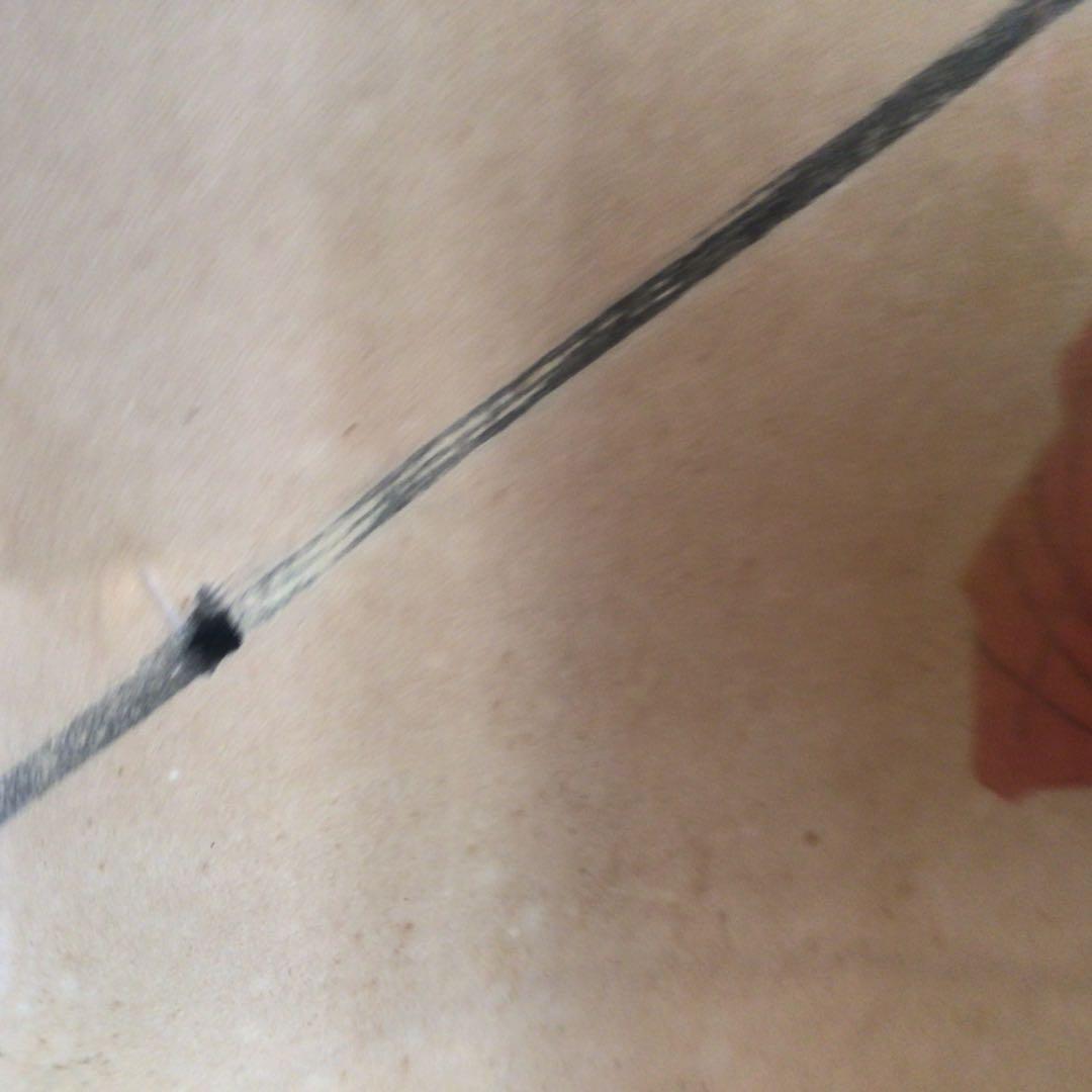 竹内栖鳳「提灯図」たけうちせいほう　日本画　額縁入り