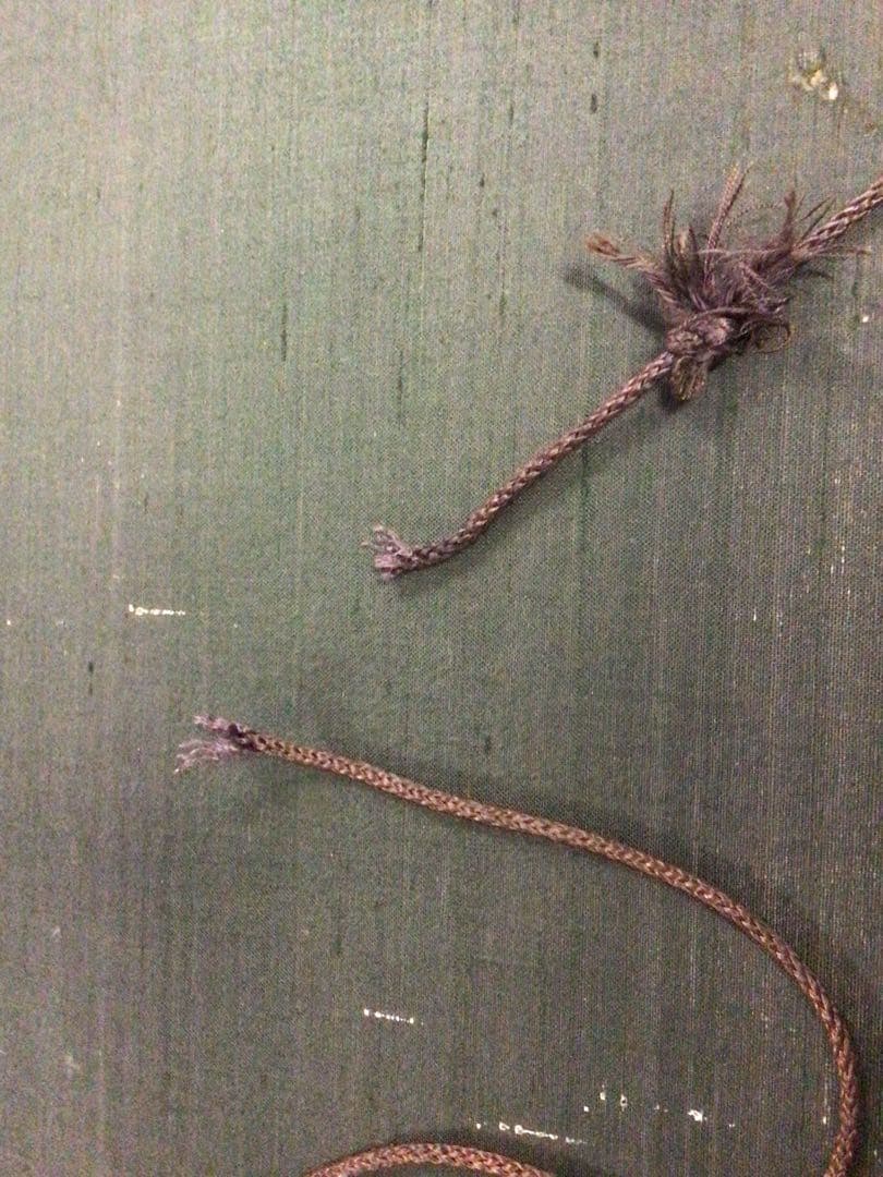 竹内栖鳳「提灯図」たけうちせいほう　日本画　額縁入り