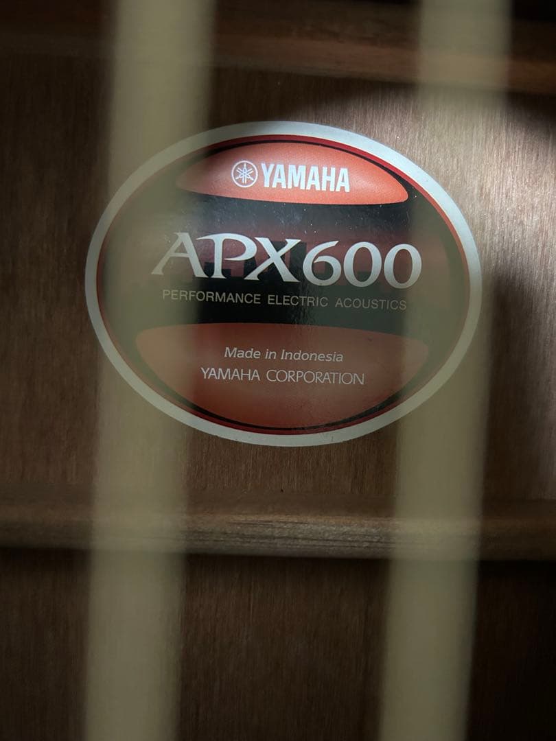 ヤマハ APX600