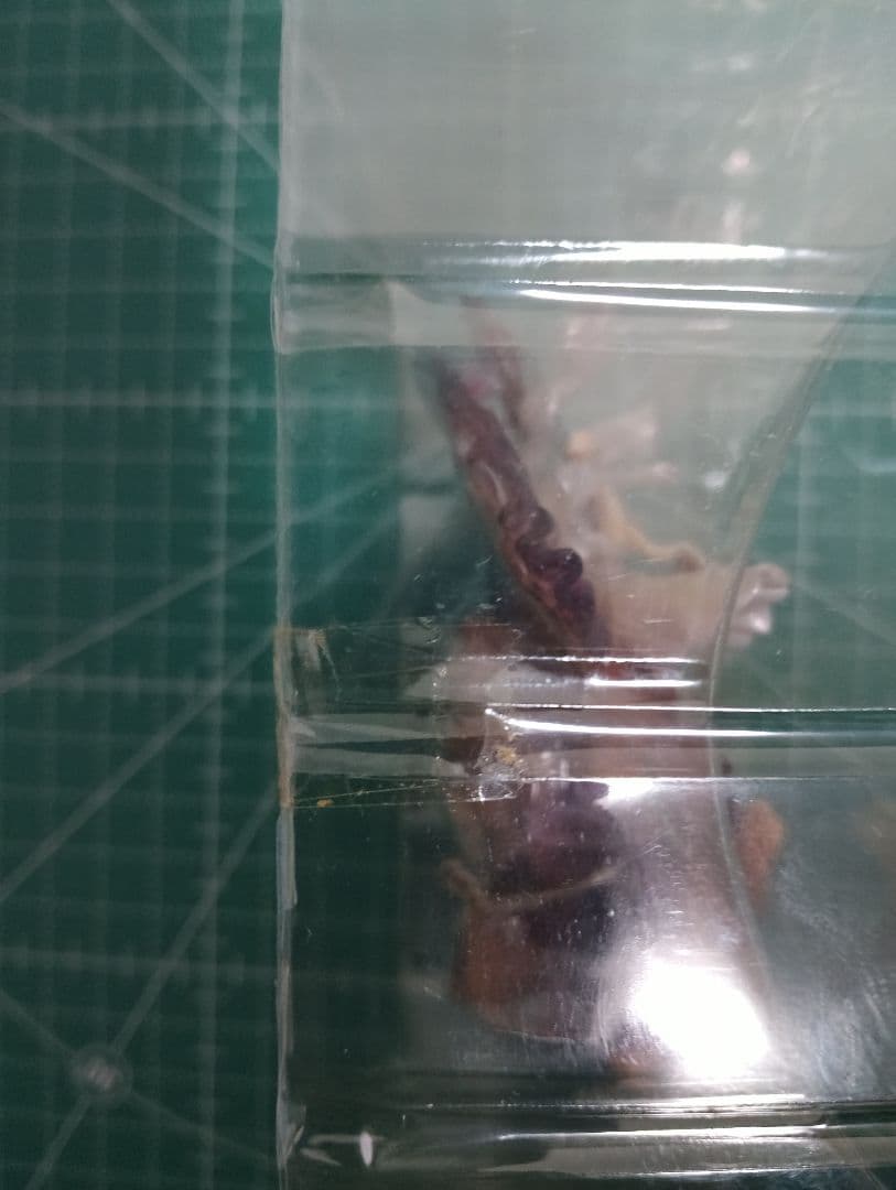 ファイナルファンタジークリーチャーズ 13体セット