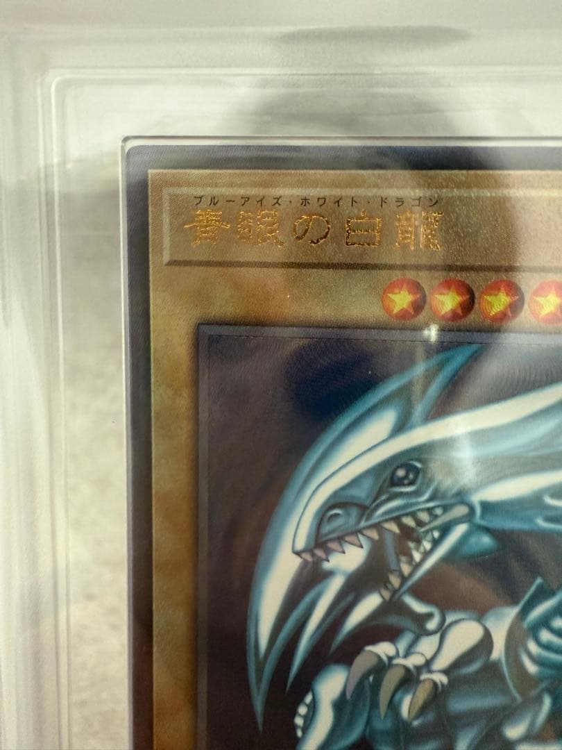 ARS9 青眼の白龍　真紅眼の黒竜　新レリーフ