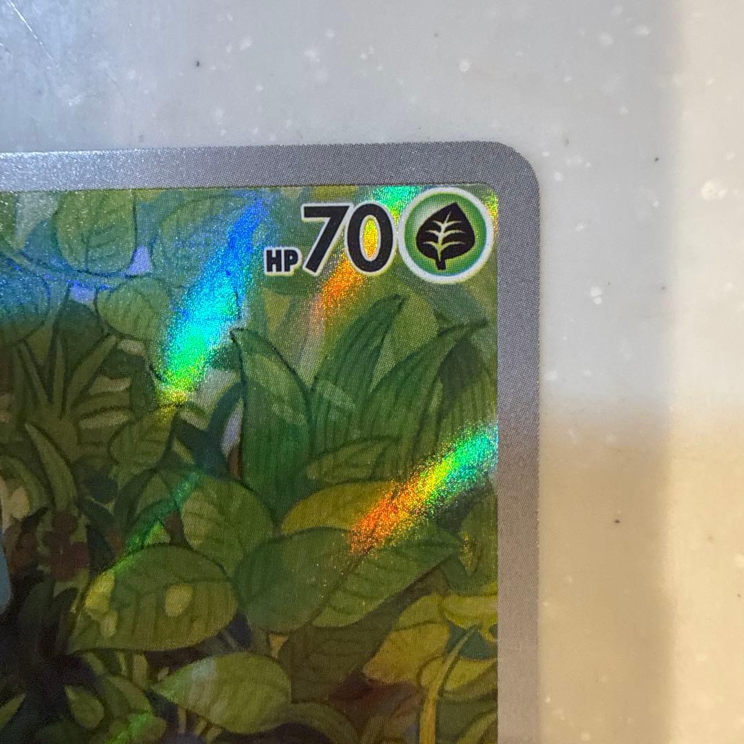 【美品】ヒトカゲ ・フシギダネ・ゼニガメ 151御三家ARセット