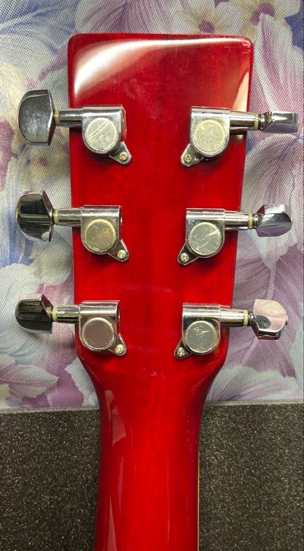 Sepia CrueアコースティックギターFG-10/RDS W-50/RDS