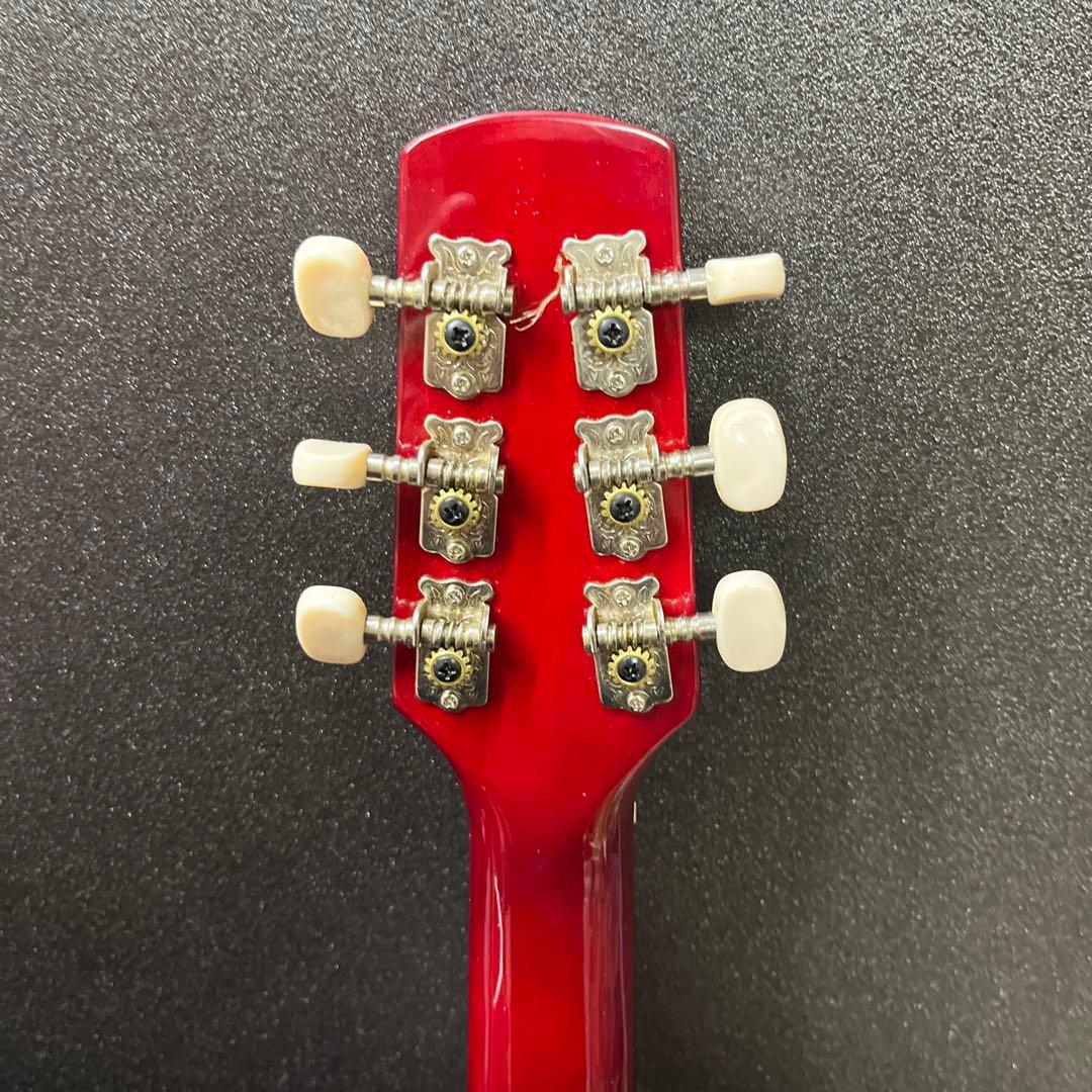 Sepia CrueアコースティックギターFG-10/RDS W-50/RDS