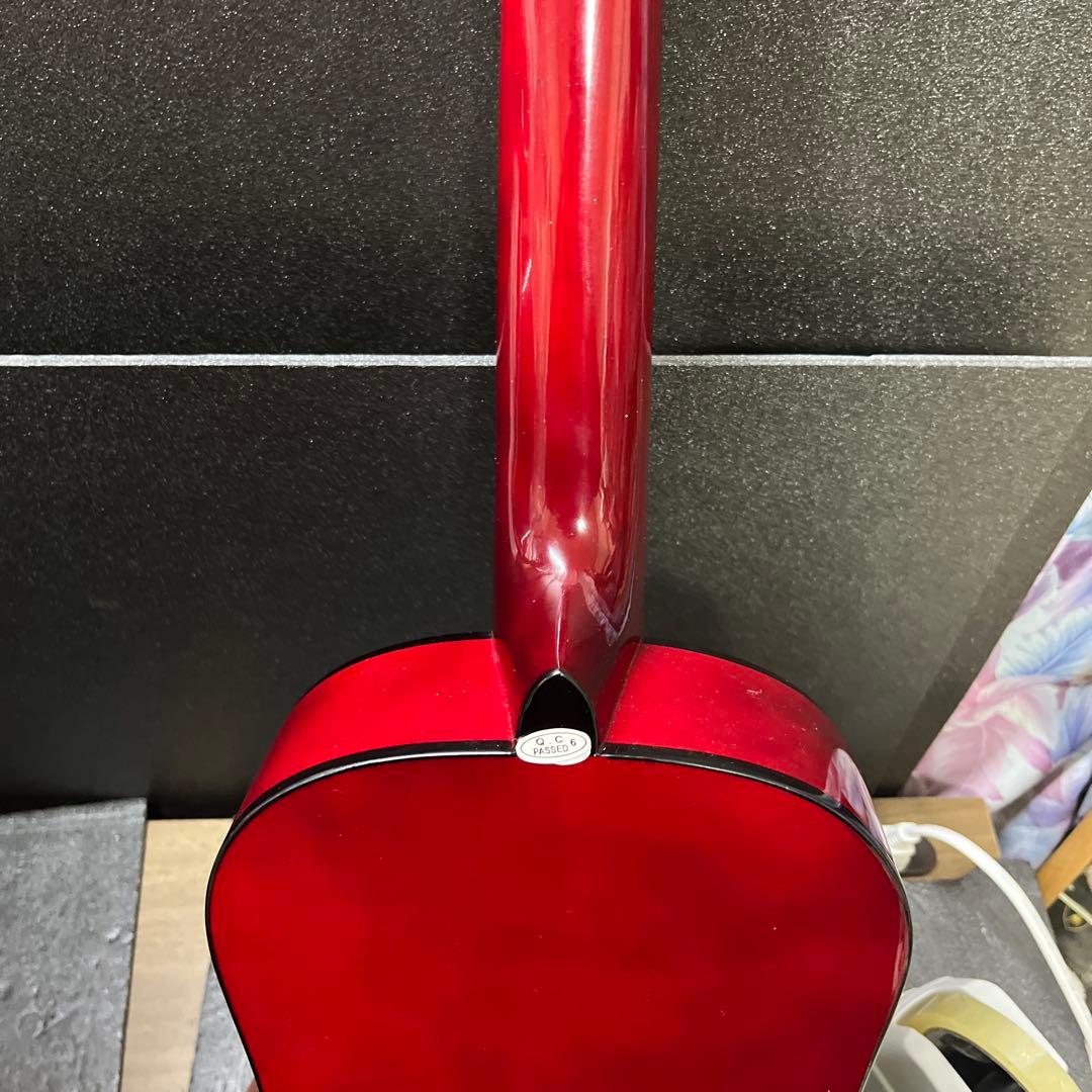 Sepia CrueアコースティックギターFG-10/RDS W-50/RDS