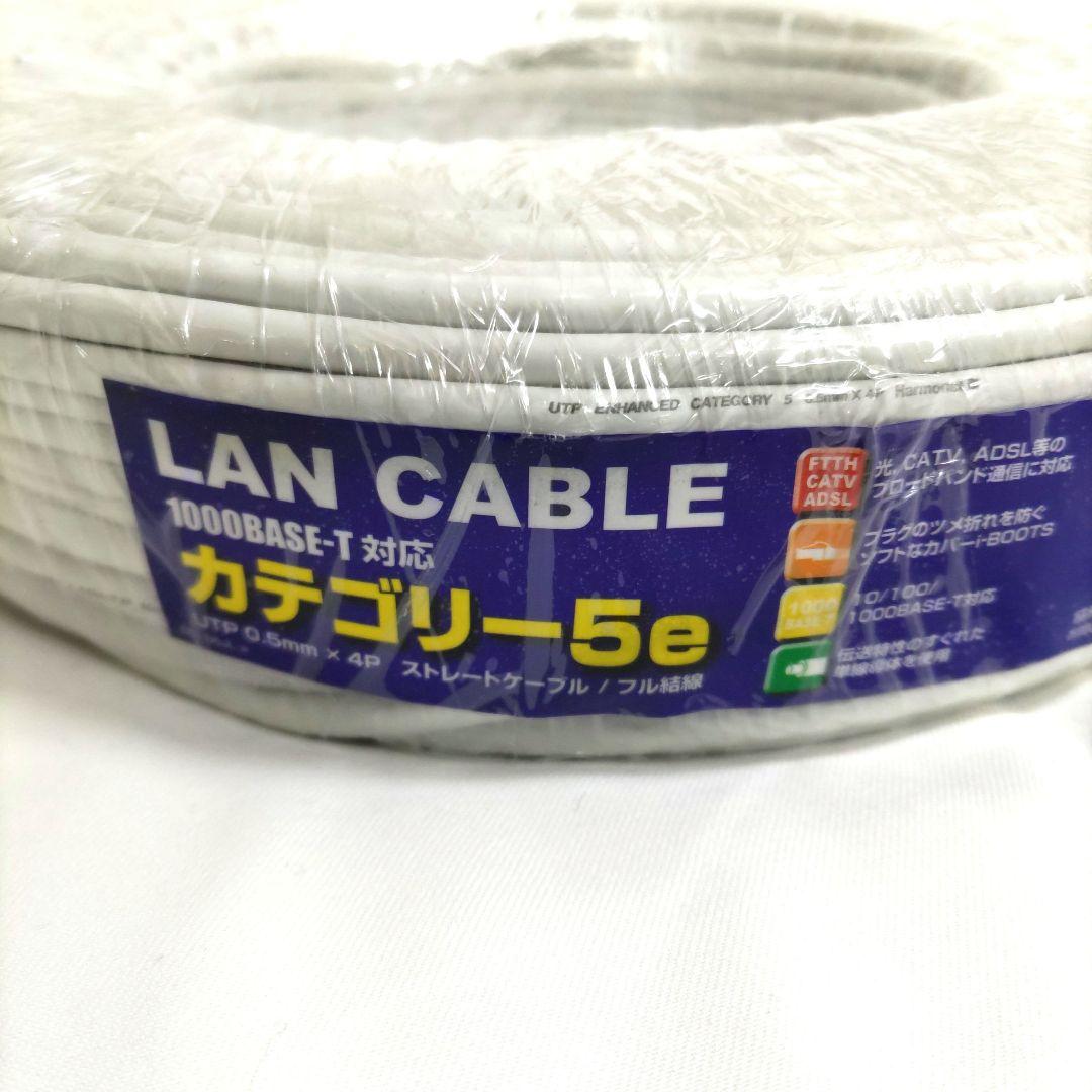 LANケーブル カテゴリ5e 100m 1000BASE-T