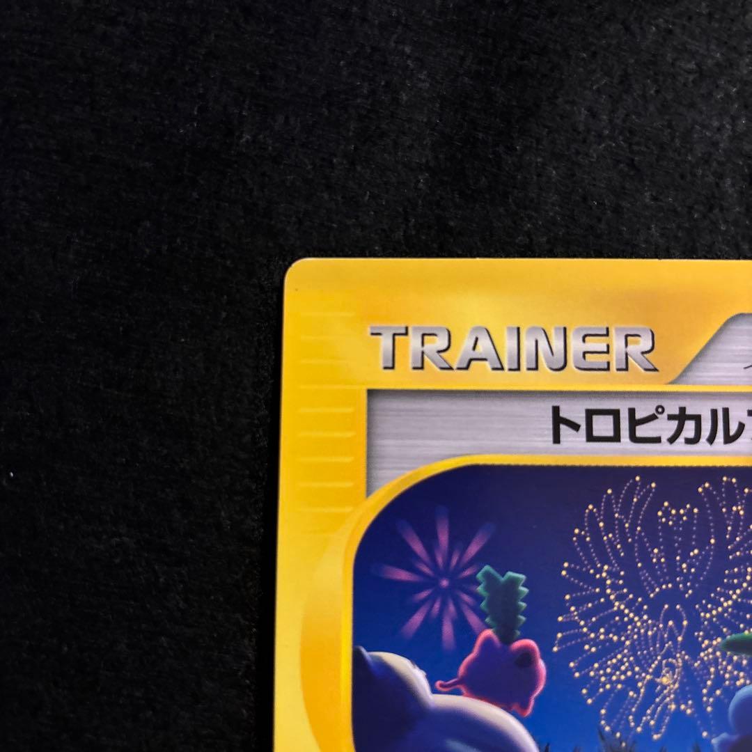 L*o様 #ゆんの気まぐれオークション　ポストカード　トロピカルプレゼント