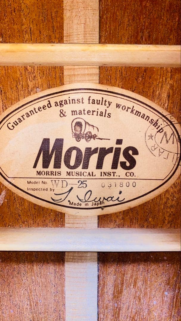 Morris WD25 JAPANVintage GibsonDOVEモデル