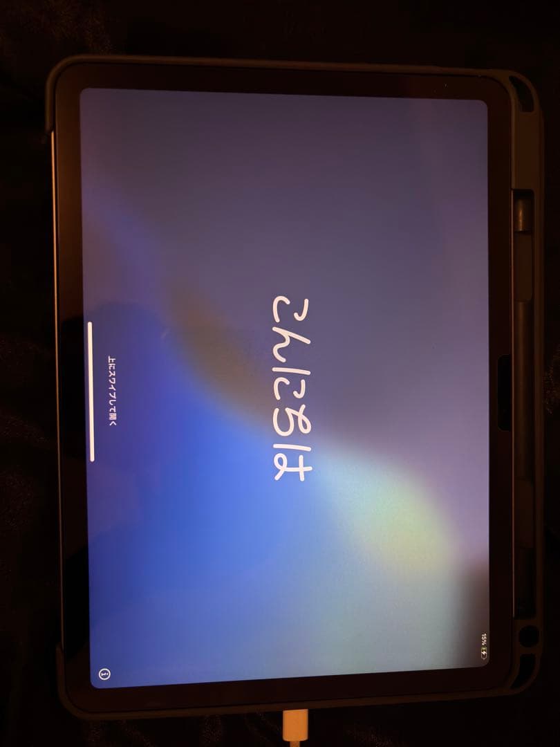 Apple iPad Air シルバー 本体 充電器付き