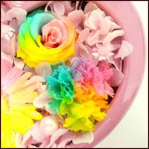 【高級プリザーブドフラワー】レインボーフラワー ピンクハート