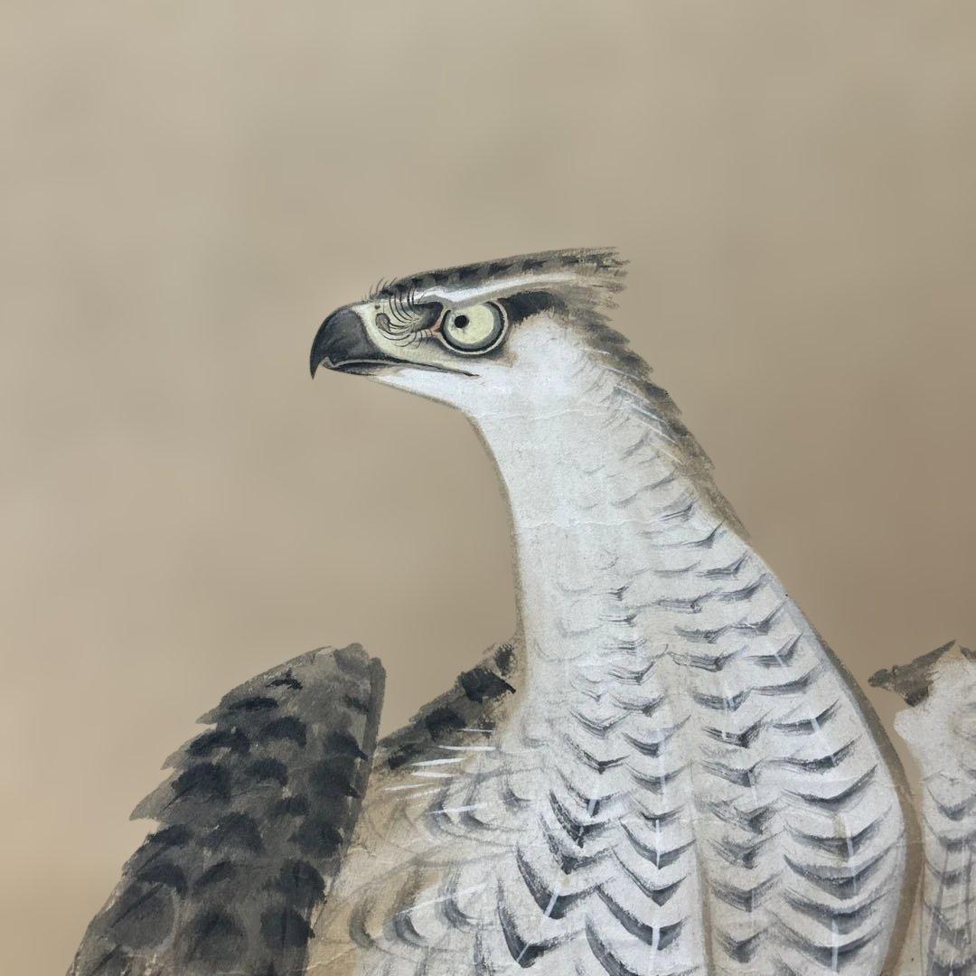 ☆湯原柳畝「松鷹」掛け軸☆