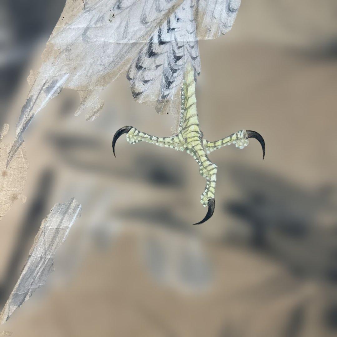 ☆湯原柳畝「松鷹」掛け軸☆