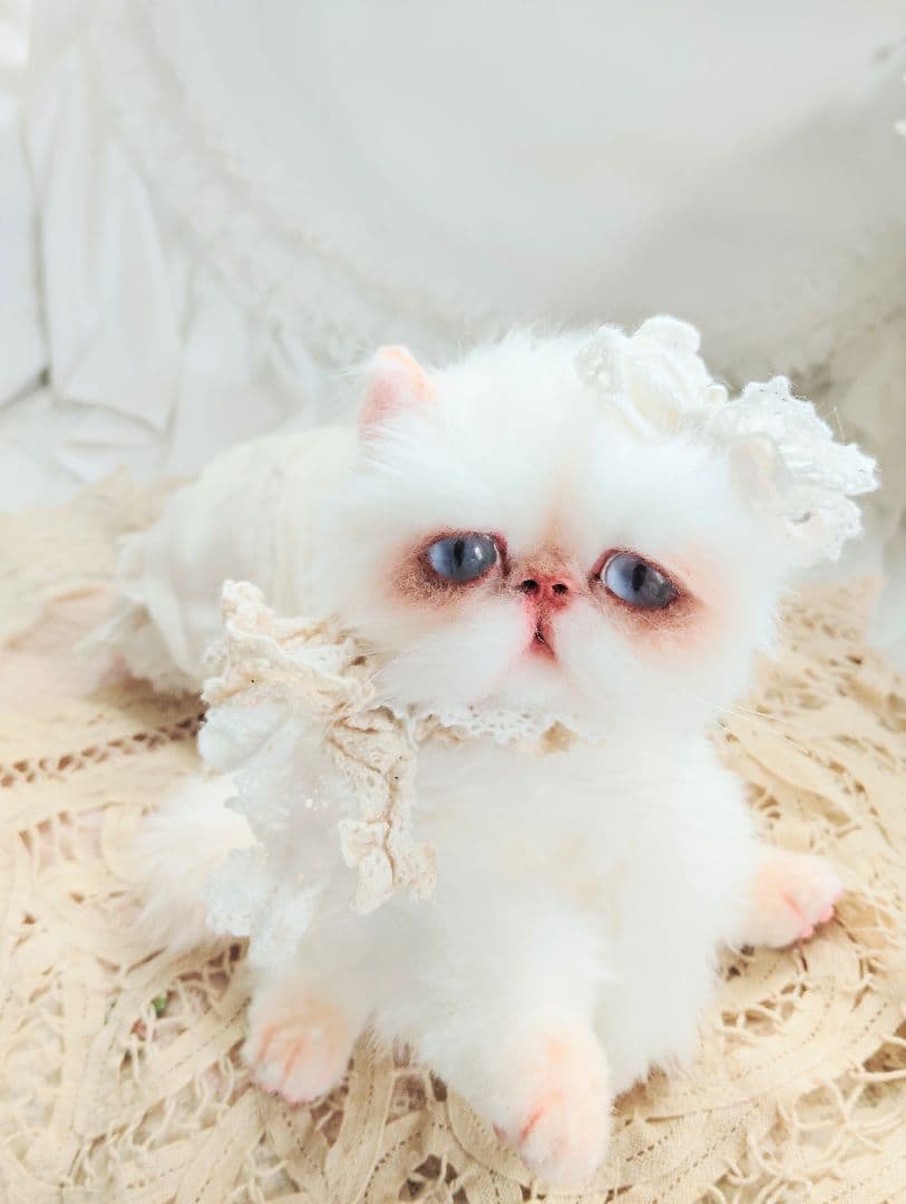 生後6ヶ月♡エキゾチック子猫ちゃん♡アートドール♡ぬいぐるみ♡