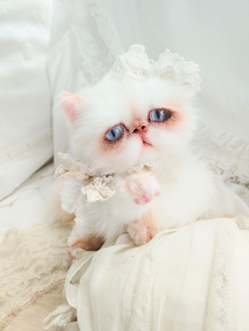 生後6ヶ月♡エキゾチック子猫ちゃん♡アートドール♡ぬいぐるみ♡