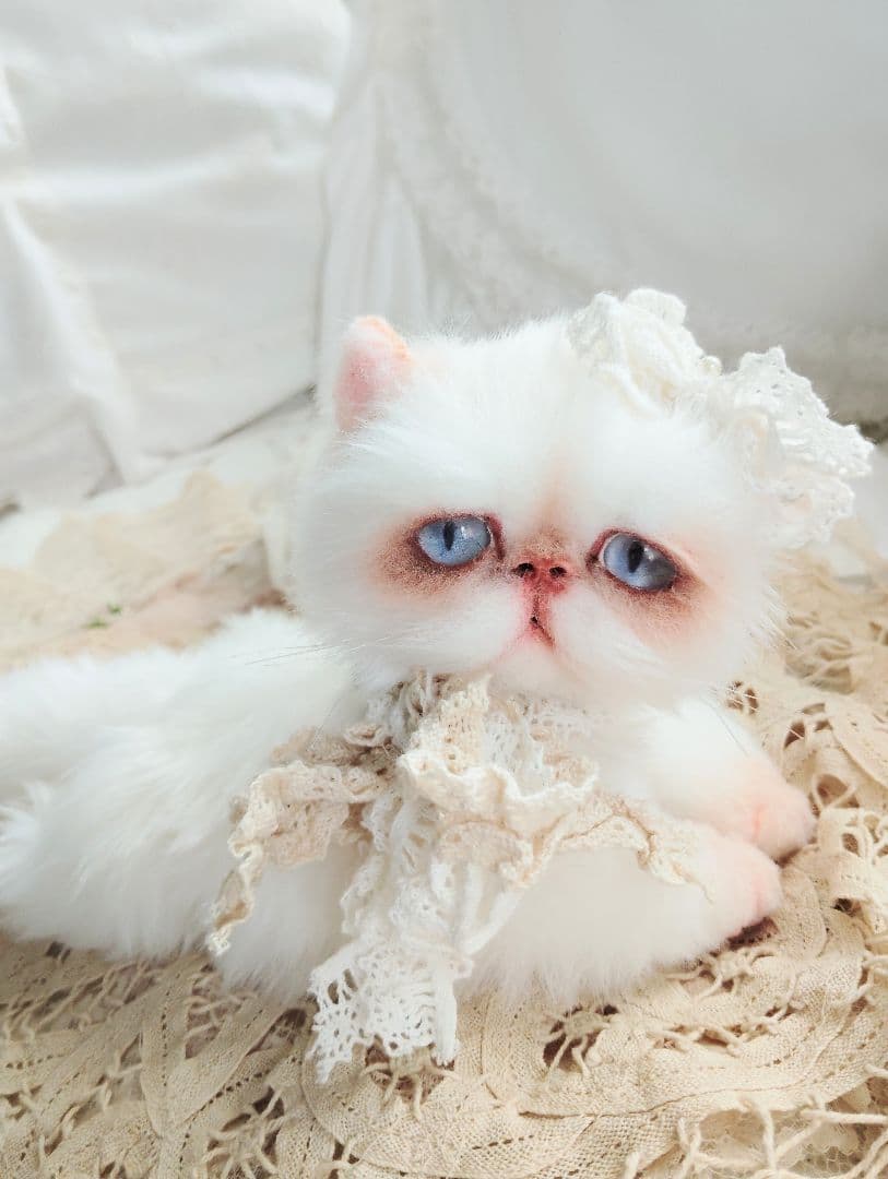 生後6ヶ月♡エキゾチック子猫ちゃん♡アートドール♡ぬいぐるみ♡
