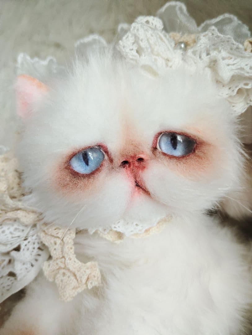 生後6ヶ月♡エキゾチック子猫ちゃん♡アートドール♡ぬいぐるみ♡