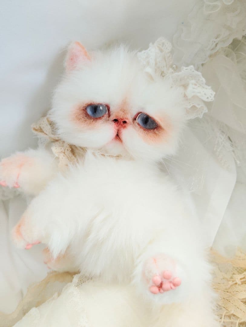 生後6ヶ月♡エキゾチック子猫ちゃん♡アートドール♡ぬいぐるみ♡