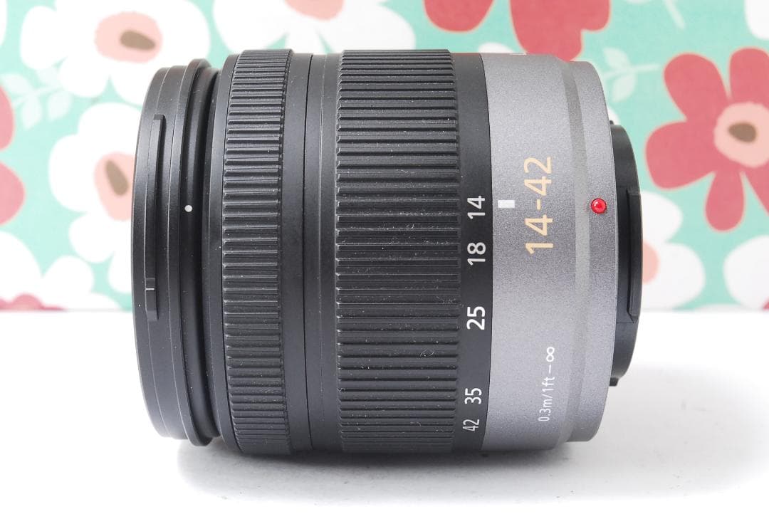 ❤Panasonic❤LUMIX G VARIO H-FS014042❤