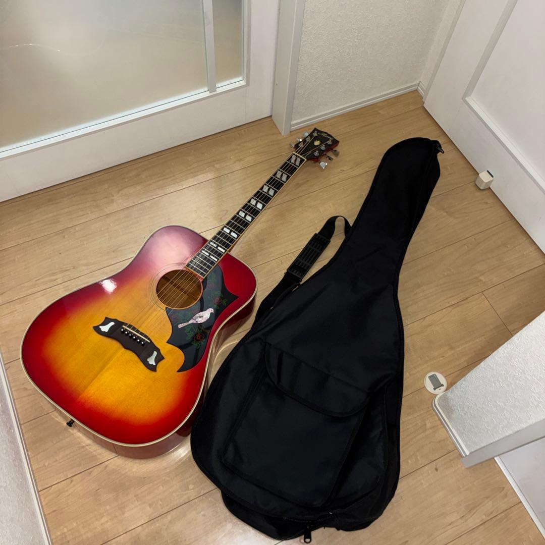 激レア美品Morris WD-35 DOVE コピー日本製　　ジャパンビンテージ