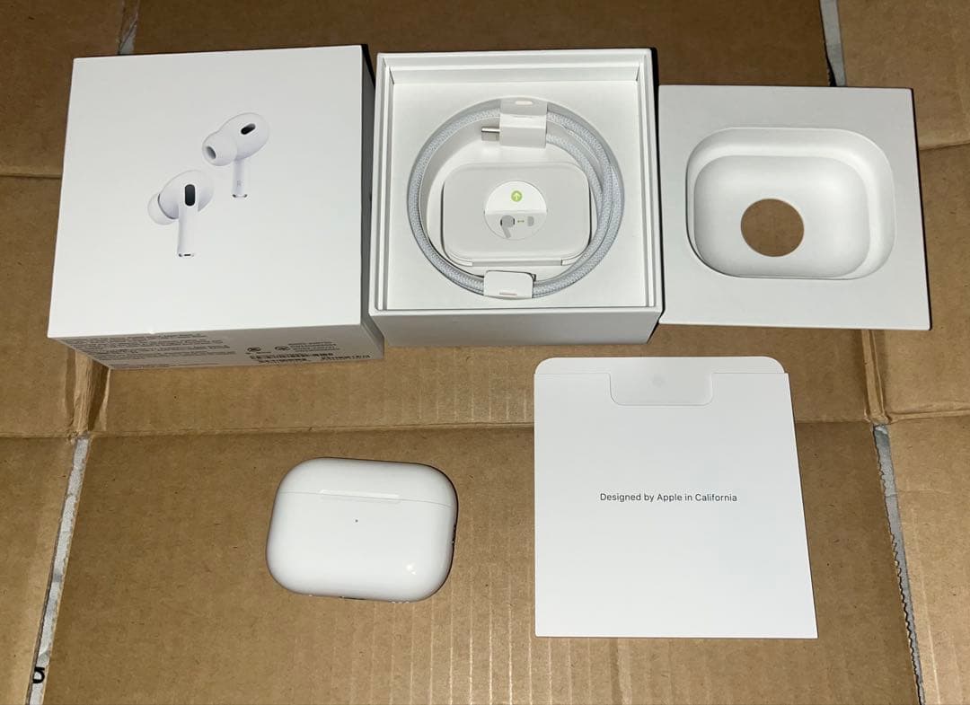 【美品】Apple AirPods Pro 第2世代 Type-C 本体