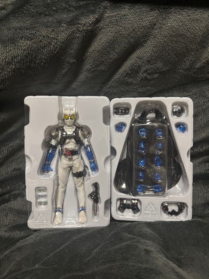 S.H.Figuarts（真骨彫製法） 仮面ライダーエターナル　真骨頂