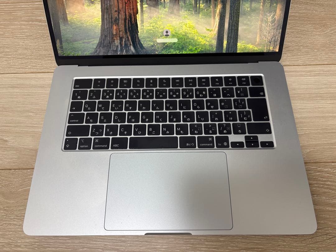 【動作正常】MacBook Air 15インチ M4 16GB スカイブルー