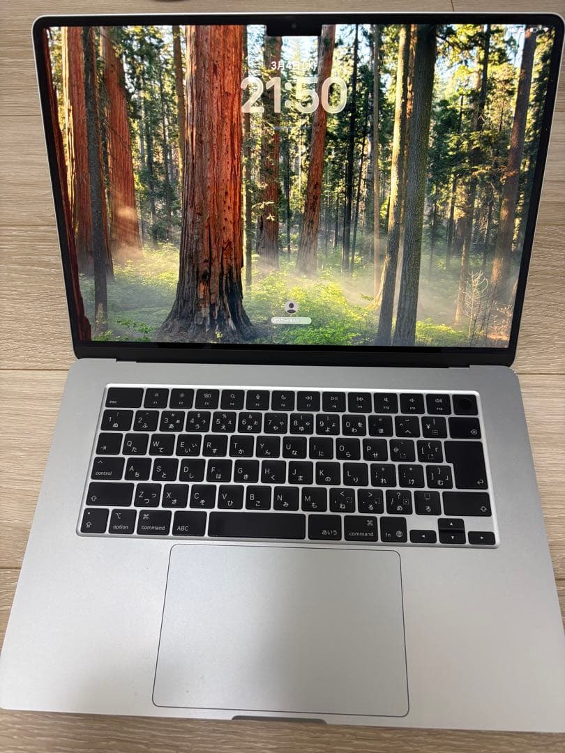 【動作正常】MacBook Air 15インチ M4 16GB スカイブルー