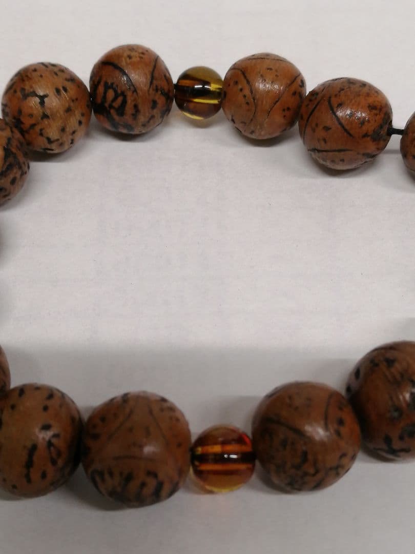 (印度)龍眼菩提樹数珠玉