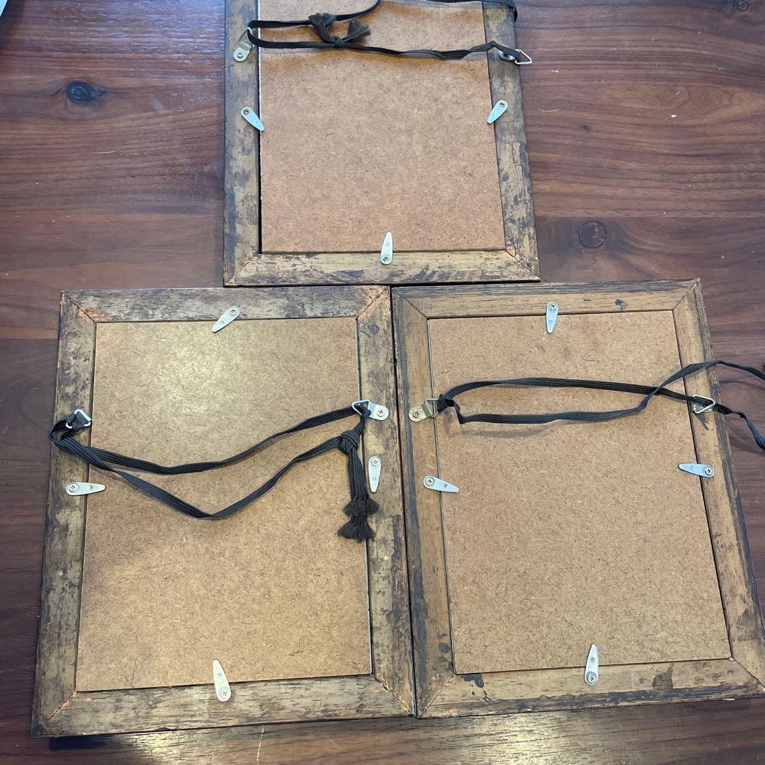 ドイツ 植物画 ボタニカルアート ３セット