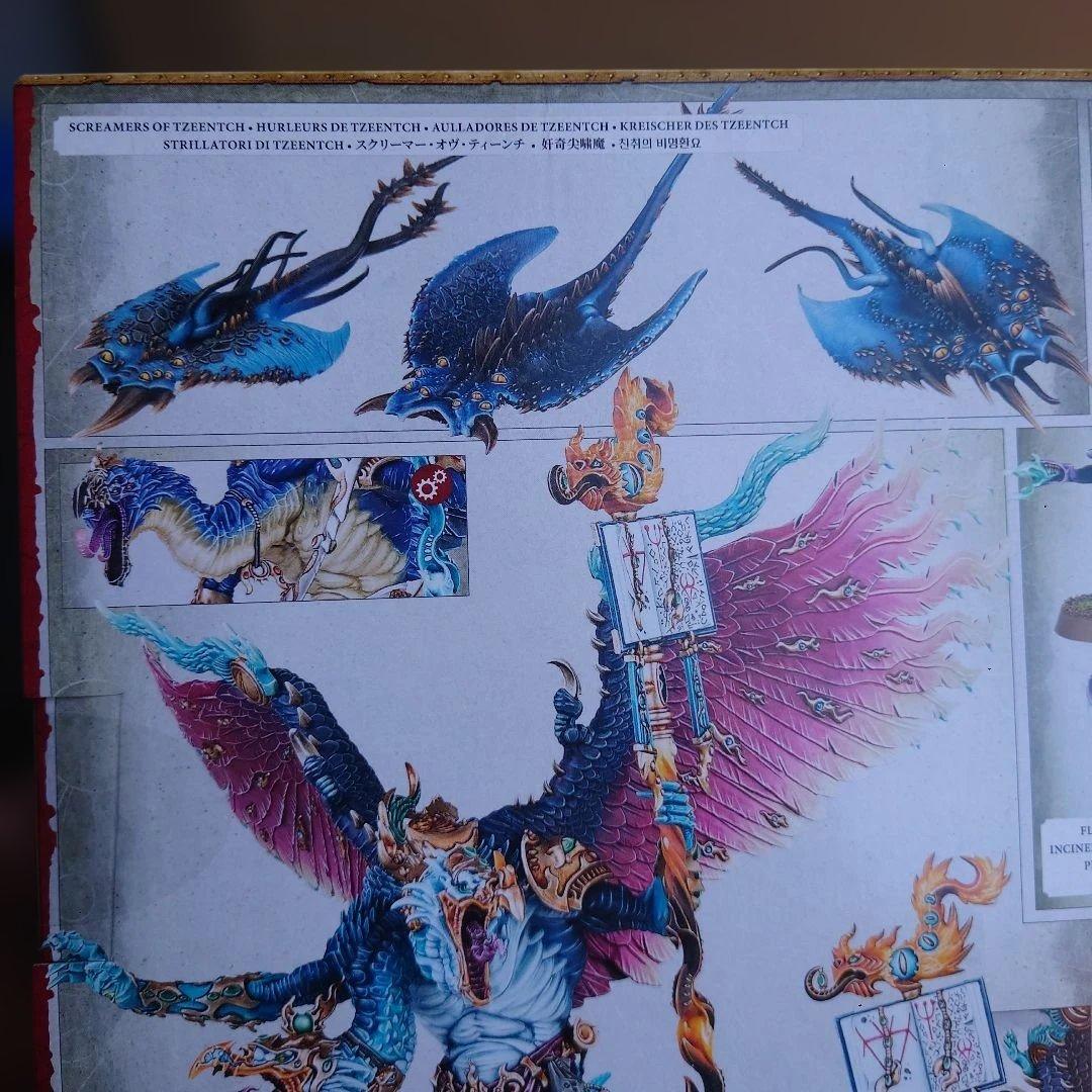 キャラクター WARHAMMER AOS WARPFLAME CAVALCADE