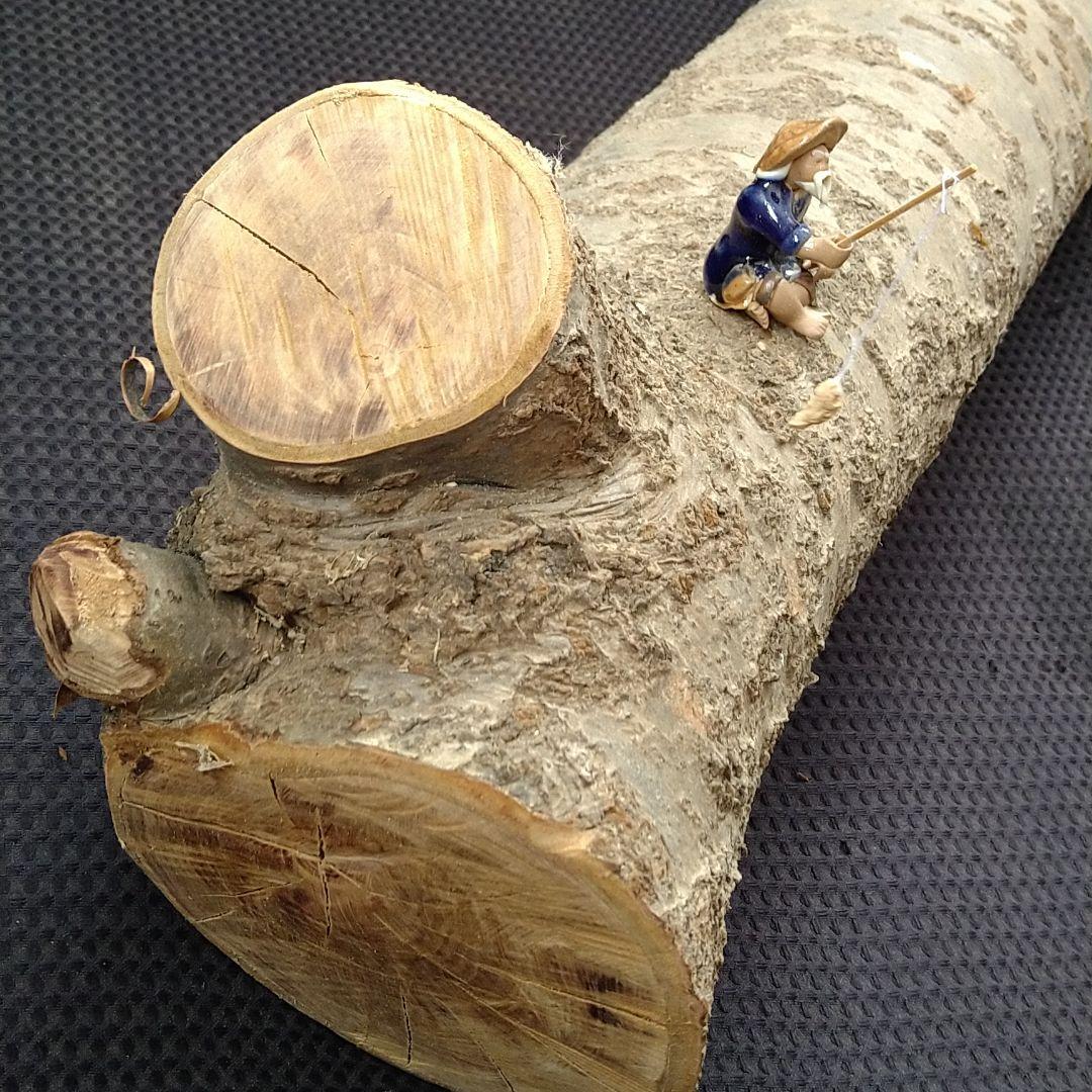 交渉中です！桜の原木