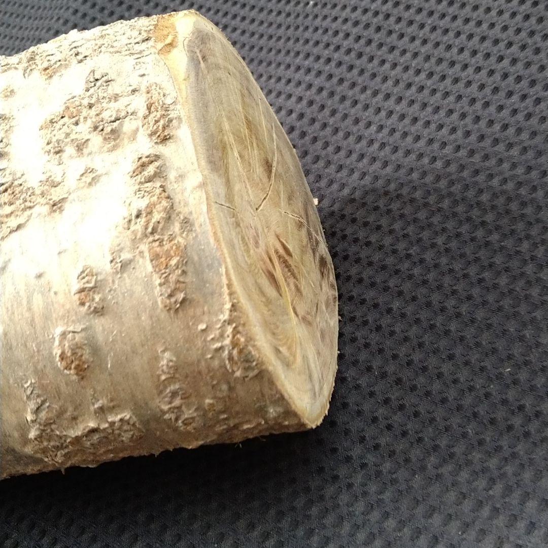 交渉中です！桜の原木