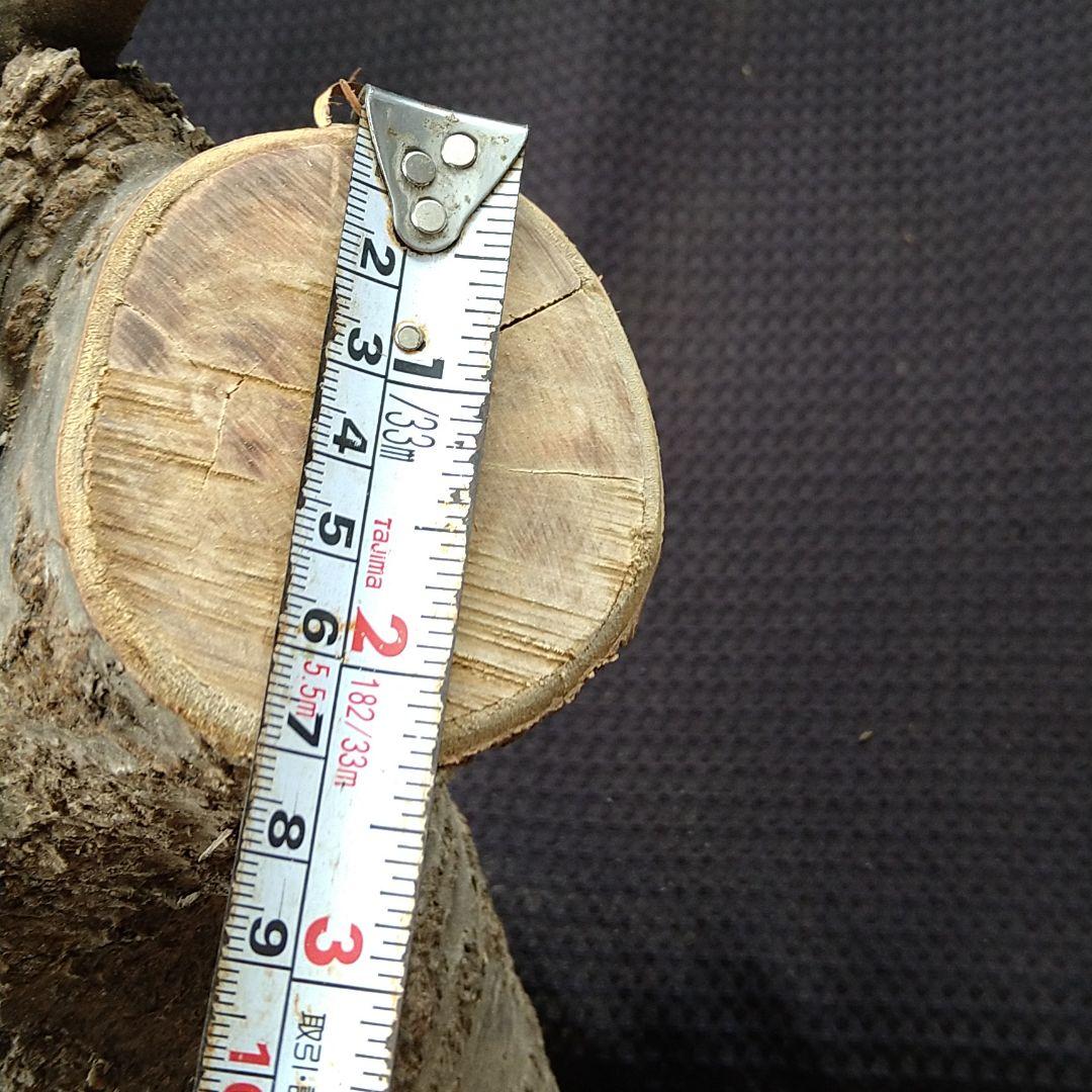 交渉中です！桜の原木