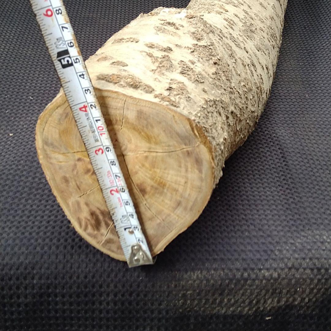 交渉中です！桜の原木